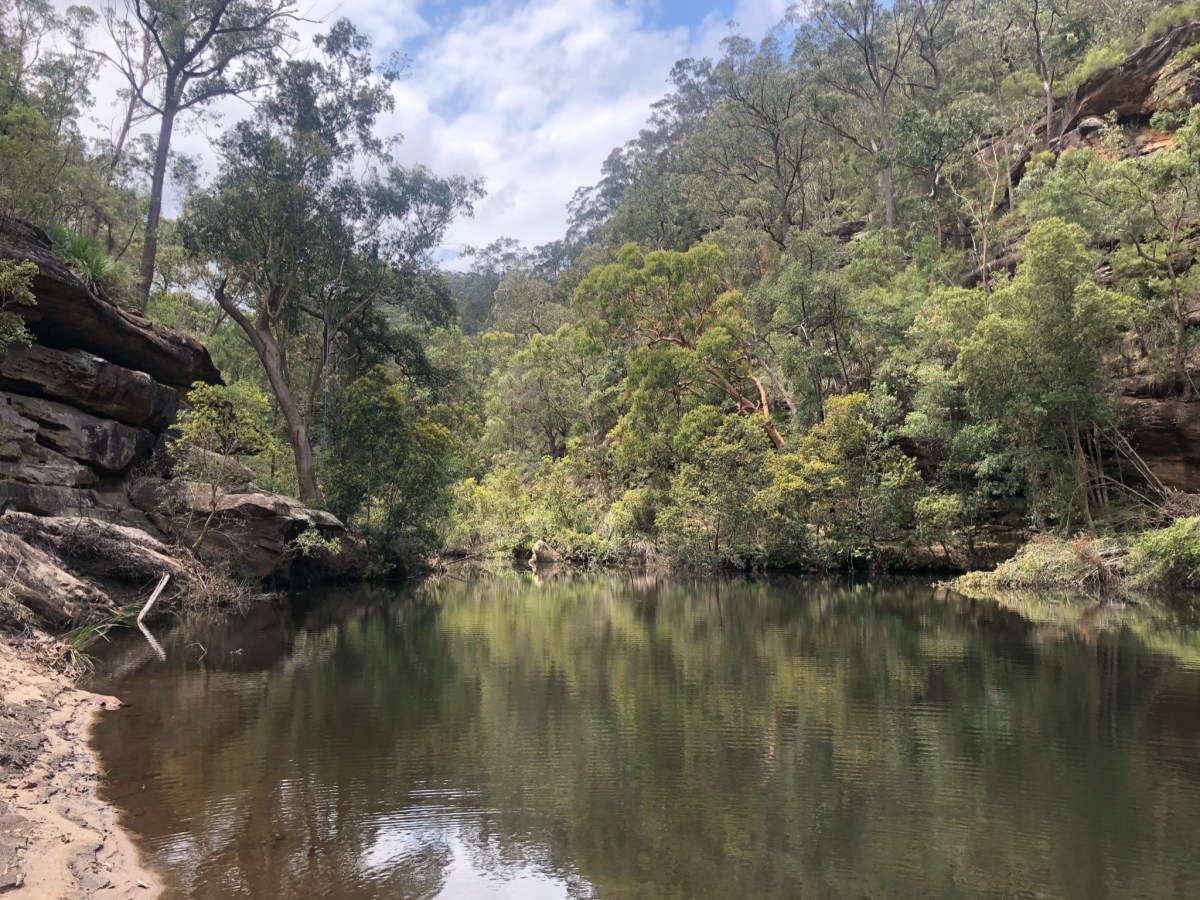 Lower Blue Mountains