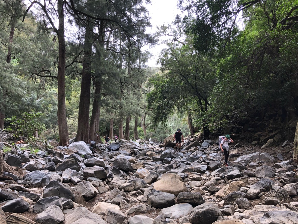 Bungonia National Park&nbsp;(II)