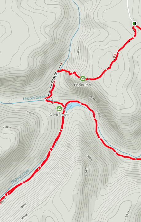 Planning bush walks – The Big Bush Basher