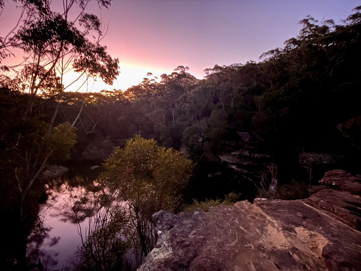 Kingfisher Pool – The Big Bush Basher